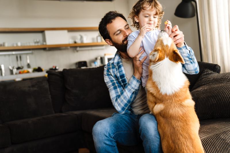 father and his son playing with their dog corgi