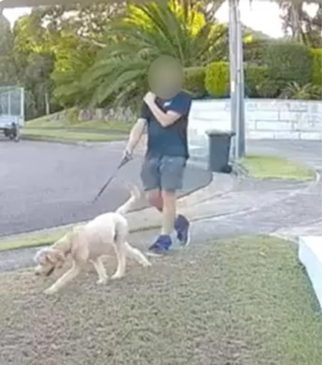 A dog owner has been caught on CCTV appearing to fake picking up a pooch