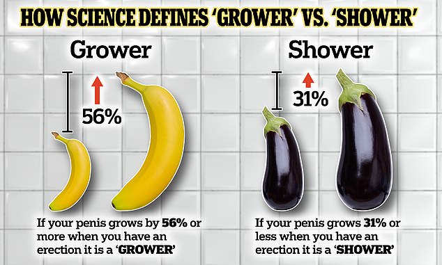 Scientists have put exact definitions of what it a grower and what is a shower in place. They found that a man whose flaccid penis grows 56 percent of more when getting an erection is a grower. If it grows 31 percent or less, then it is a shower. Around half of men fall within the middle area in-between, though, and are neither growers nor showers