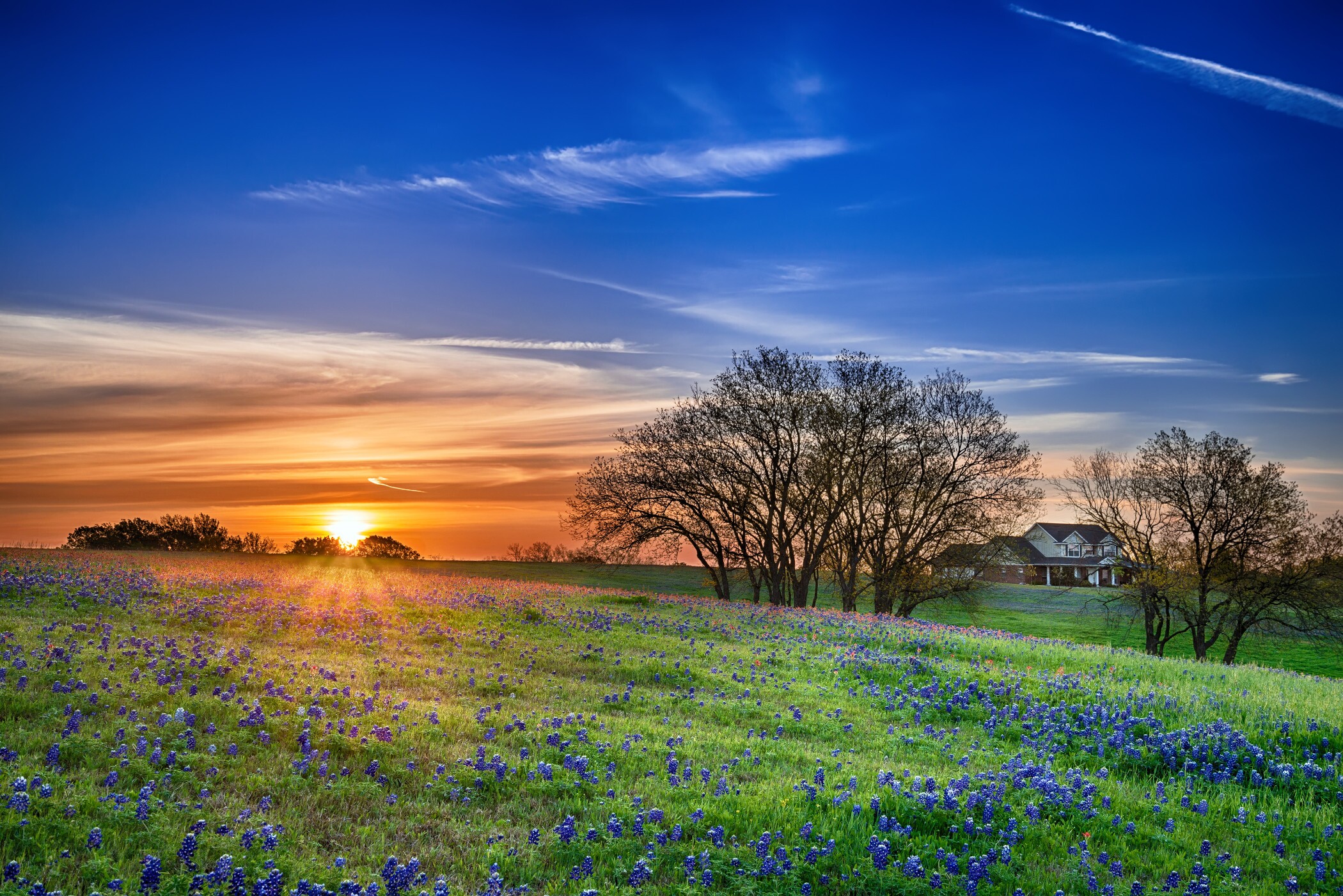A sunset overlooking a rural field with bluebonnets in Texas. A developer plans to develop a large 1,474-acre project just south of Sherman, Texas, where Texas Instruments plans to develop a chipmaking campus. (Getty Images)