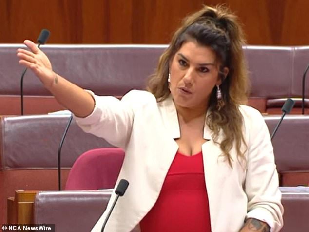 Firebrand independent senator Thorpe accused senator Hughes of racism during a debate over the safeguard mechanism on Tuesday evening
