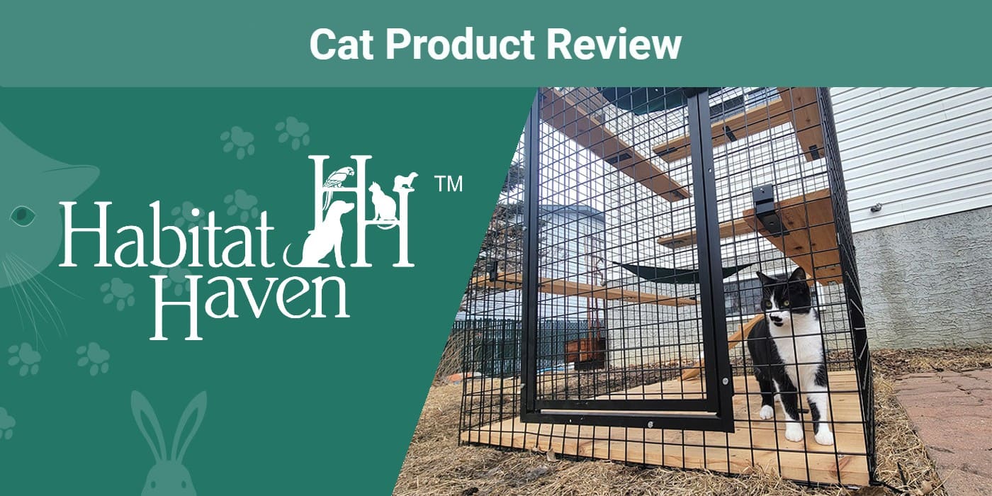 Habitat Haven's My Own Cat Den Petit Review 2023: Our Expert's Opinion