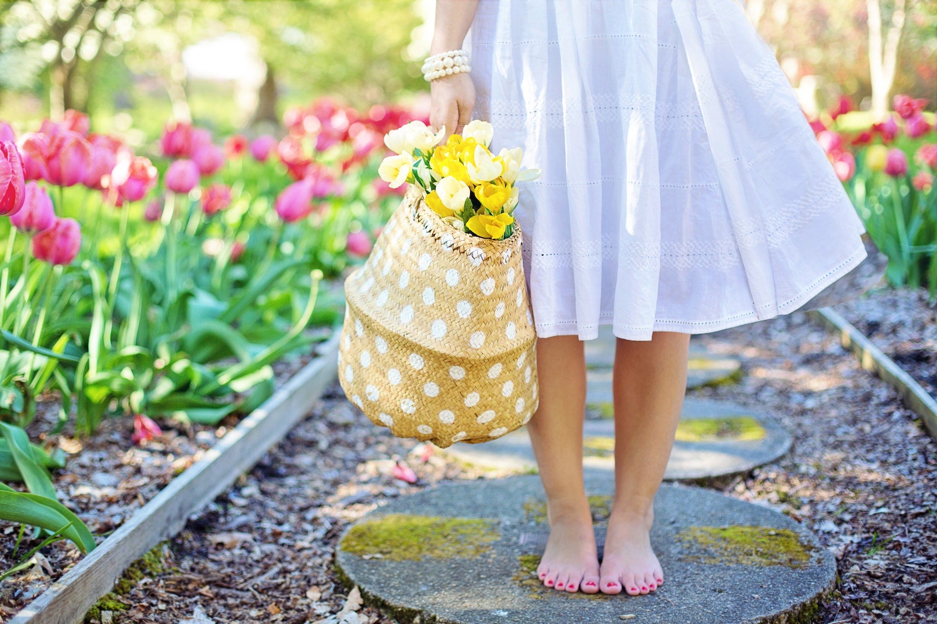 Why Spring is the Perfect Time for Organizing