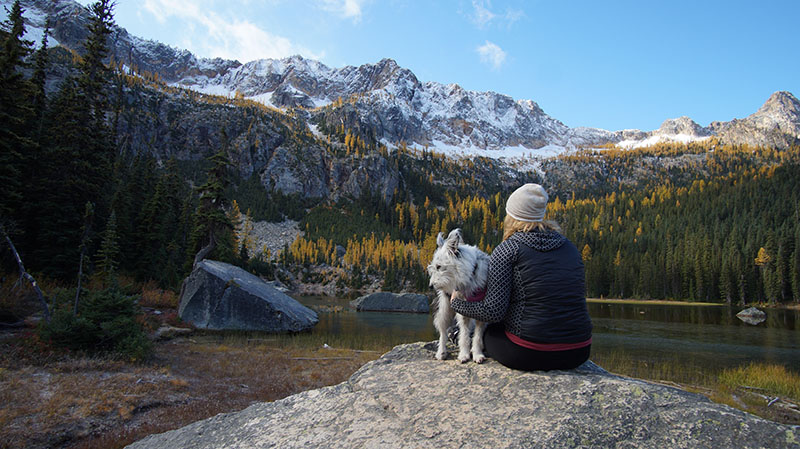 Hiking with dog, Exploring Washington State