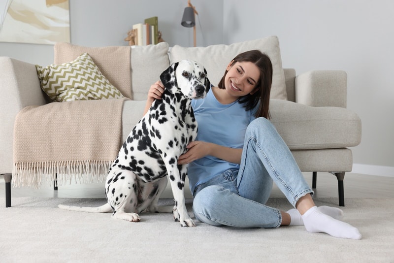woman with her dalmatian dog at home