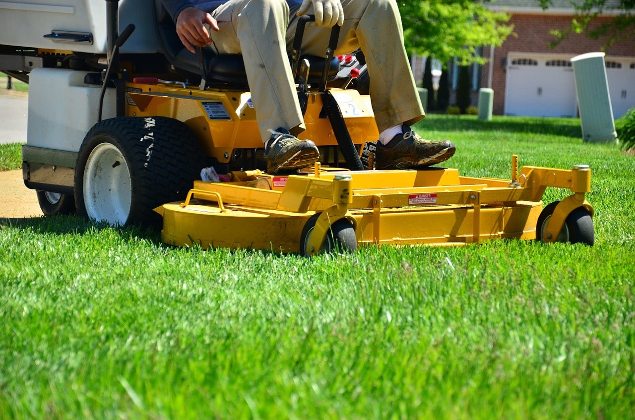 The Importance of Hiring Professional Lawn Fertilizer Services